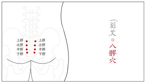 八廖|八髎穴（上、次、中、下髎）详解,临床实用！